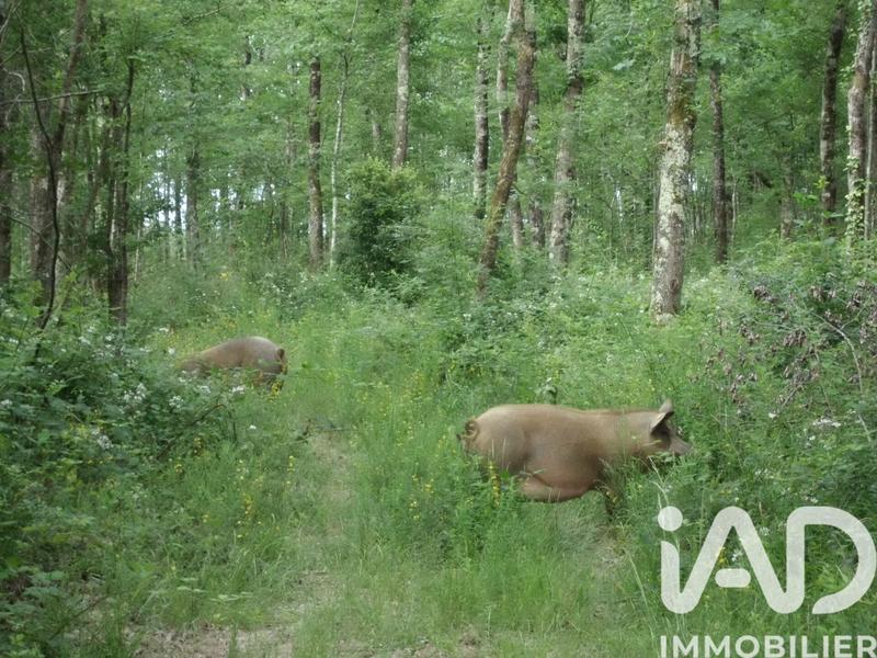 Terrain - 200 000 m²