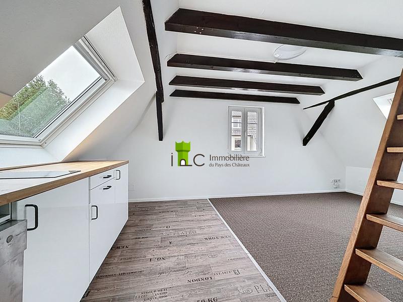 Appartement - 19 m² - 1 pièce