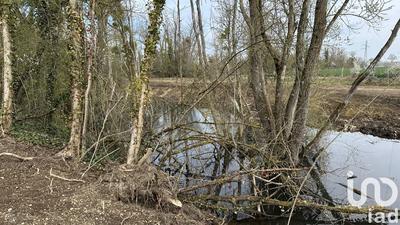 Terrain - 10 000 m²