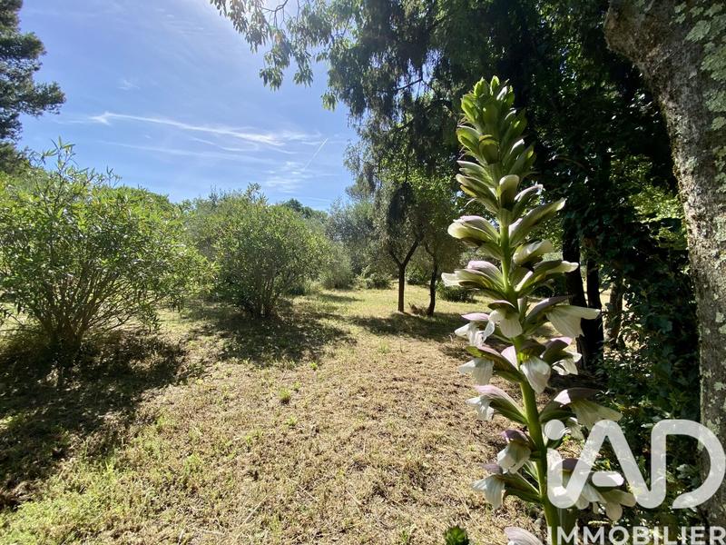 Maison de maîtres - 295 m² - 11 pièces