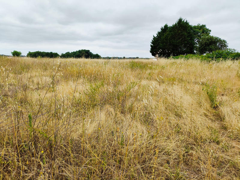 Terrain constructible - 3 799 m²