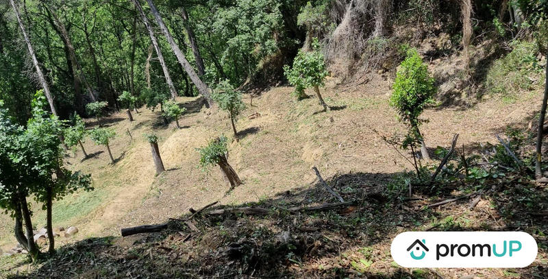 Terrain de loisirs - 2 048 m²