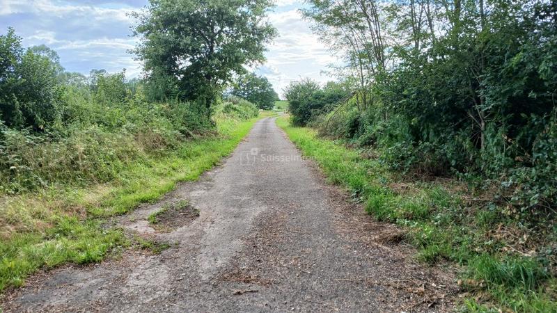 Moulin - 200 m² - 6 pièces