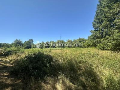 Terrain - 3 390 m²