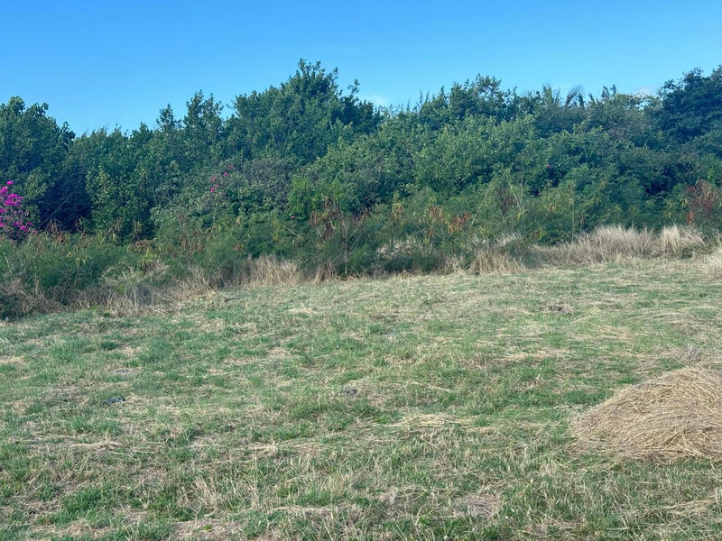 Terrain - 10 625 m²