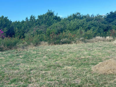 Terrain - 10 625 m²