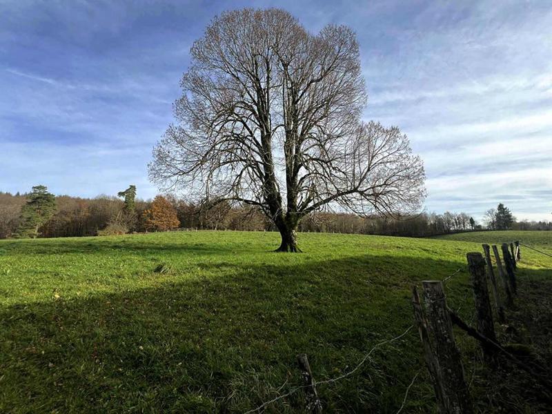 Maison - 85 m² - 3 pièces