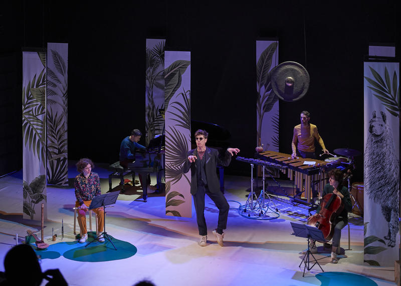 Spectacle - le Carnaval des Animaux Sud-américains - Ensemble Almaviva