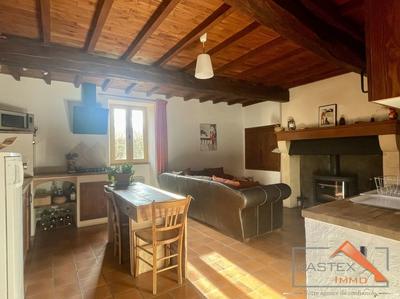 Maison en pierre - 223 m² - 7 pièces