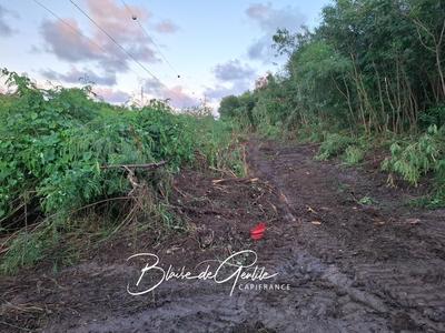 Terrain constructible - 2 000 m²