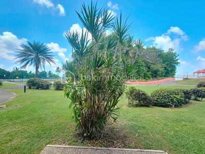 Studio - 29 m² - 1 pièce