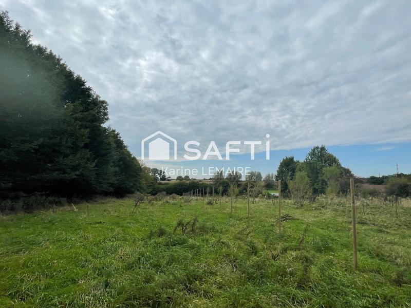 Terrain - 11 965 m²