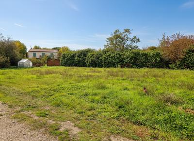 Terrain - 711 m²