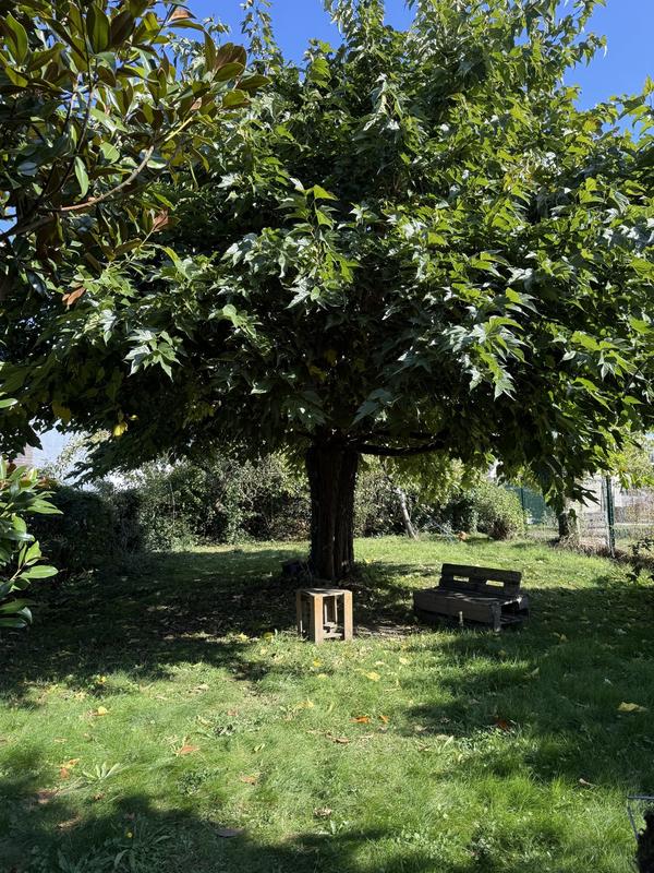 Maison - 148 m² - 6 pièces