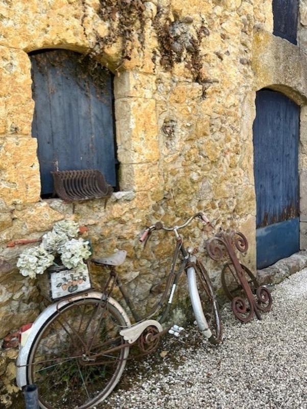 Maison - 310 m² - 8 pièces