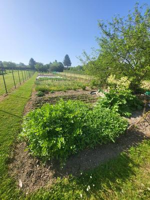 Maison - 134 m² - 5 pièces