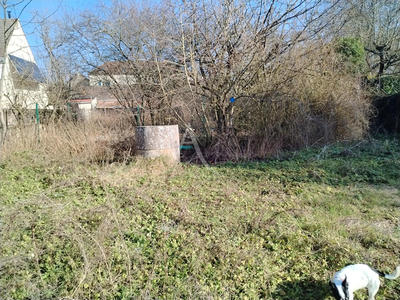 Maison - 245 m² - 6 pièces