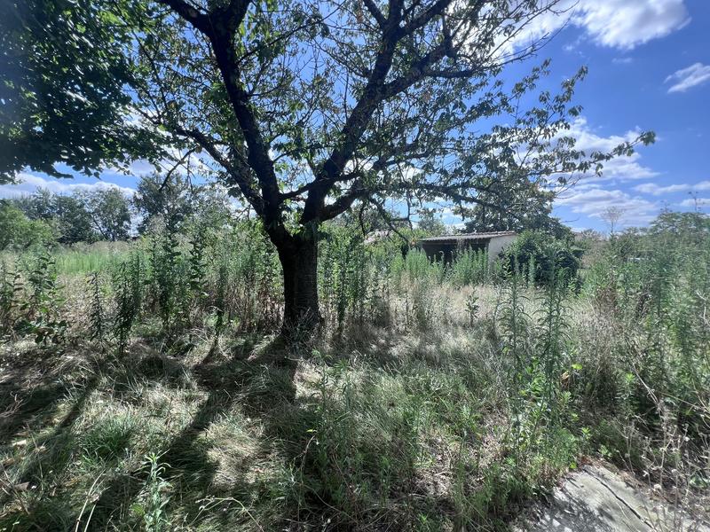 Maison - 185 m² - 7 pièces