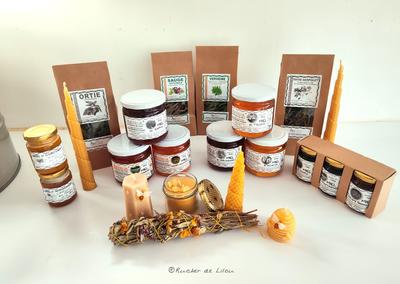 Découverte de l'apiculture et dégustation de miel