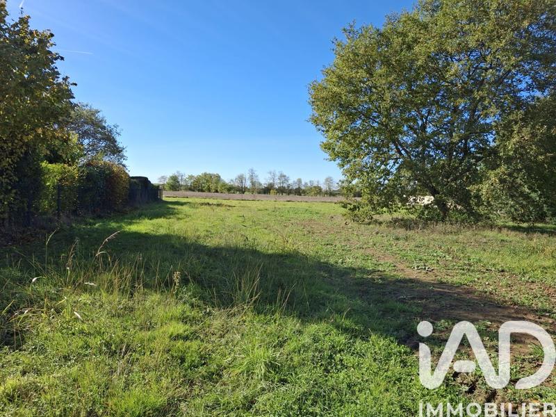 Terrain - 1 114 m²