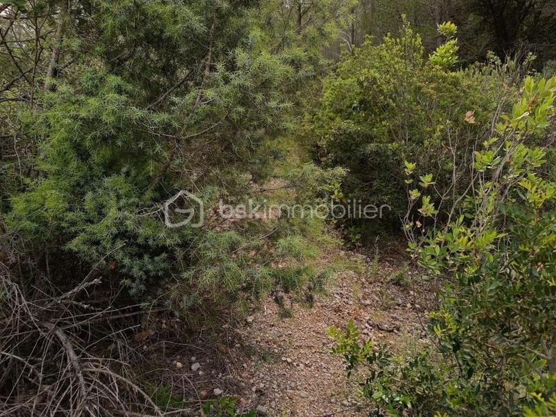 Terrain agricole - 12 490 m²