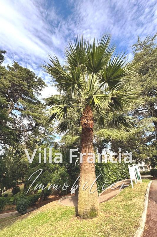 Appartement - 36 m² - 3 pièces