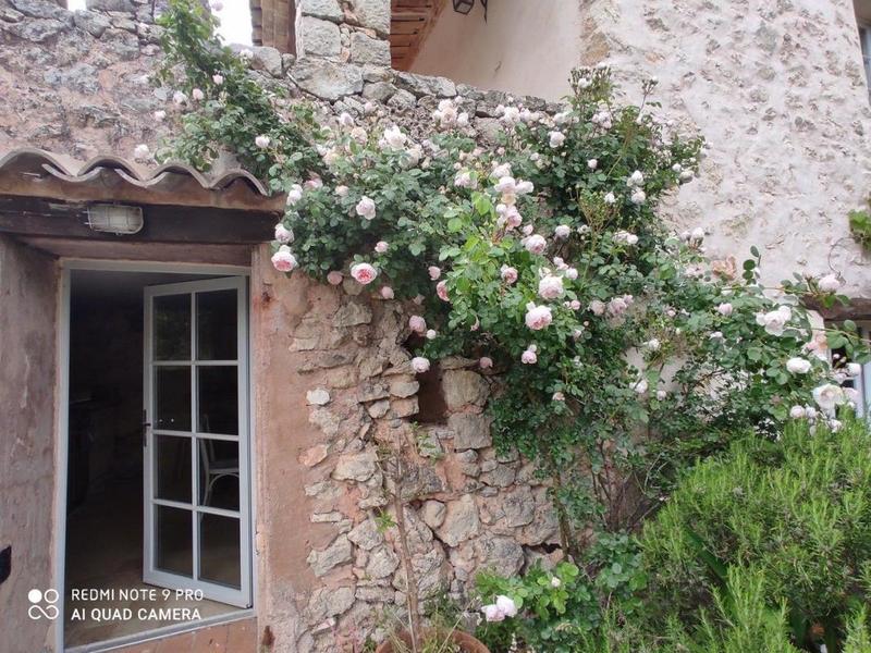 Mas - 258 m² - 8 pièces