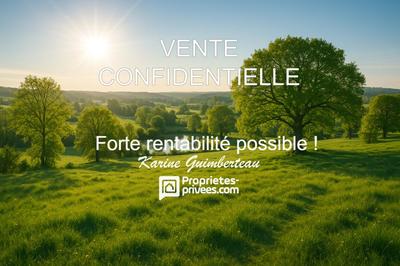 Demeure - 700 m² - 13 pièces