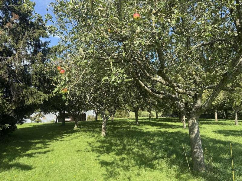 Terrain de loisirs - 11 549 m²