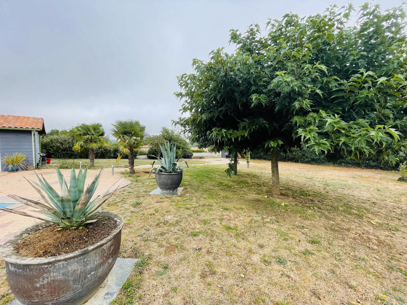 Maison - 270 m² - 6 pièces