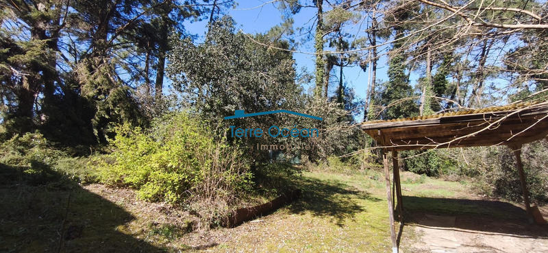 Maison - 53 m² - 3 pièces