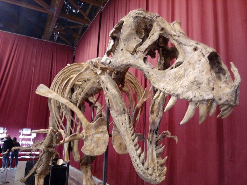 Salon international des minéraux de Martigues