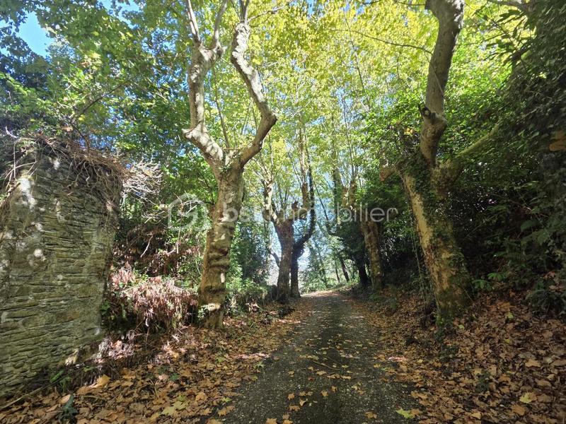 Immeuble - 1 500 m² - 37 pièces