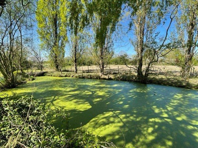 Ferme - 70 m² - 3 pièces