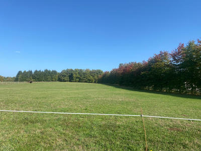 Terrain - 1 245 m²