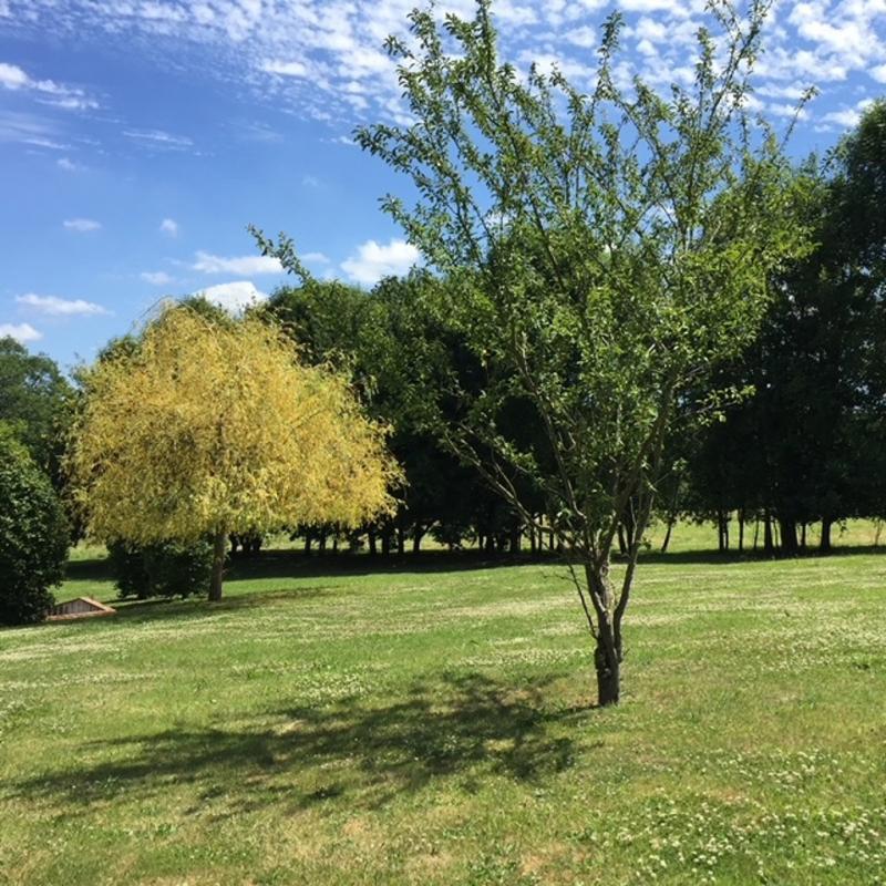 Maison de campagne - 245 m² - 11 pièces