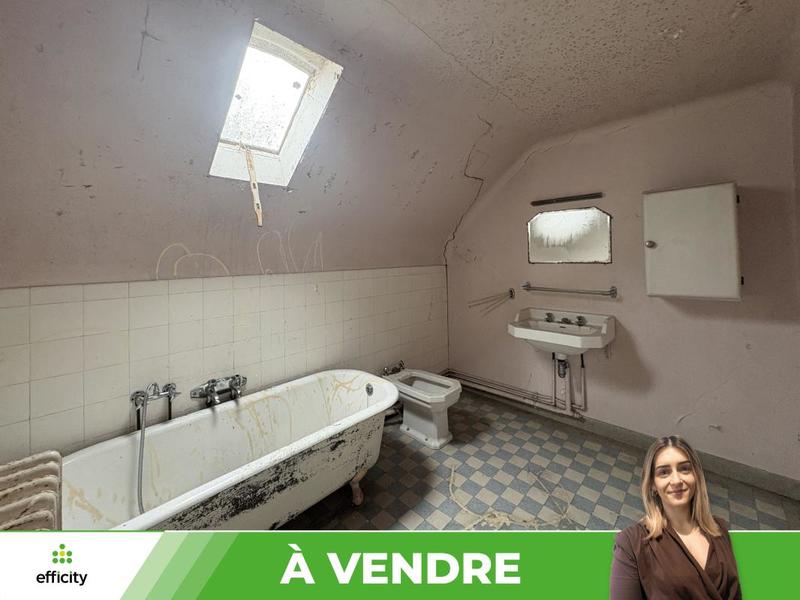 Maison - 350 m² - 10 pièces