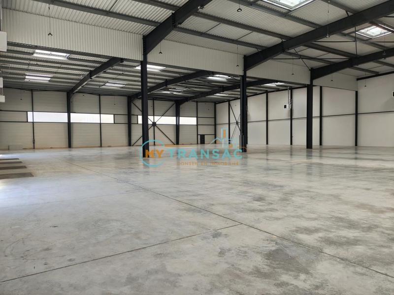 Local d'activité / Entrepôt - 3 562 m²