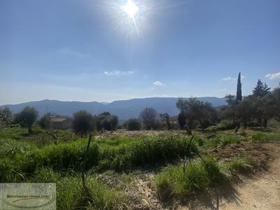 Terrain constructible - 1 880 m²