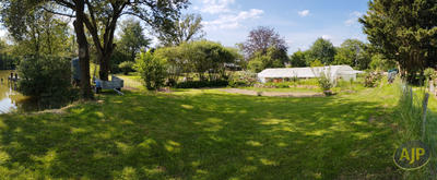 Terrain - 11 796 m²