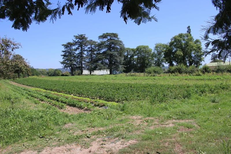 Château - 1 800 m² - 37 pièces