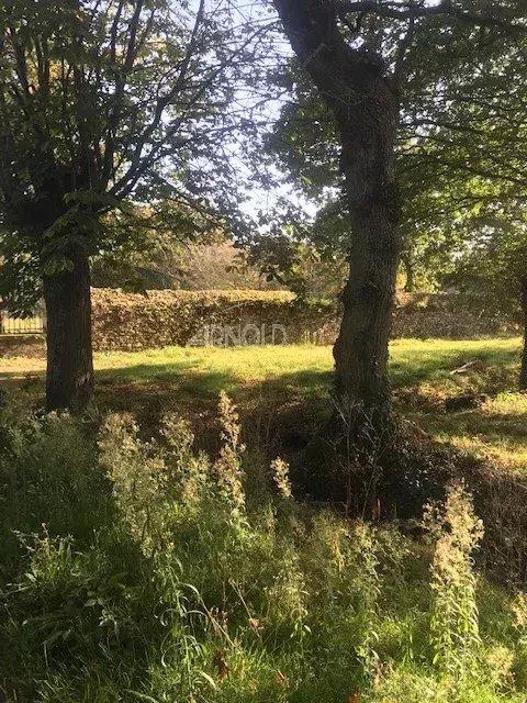 Bureau - 600 m² - 16 pièces