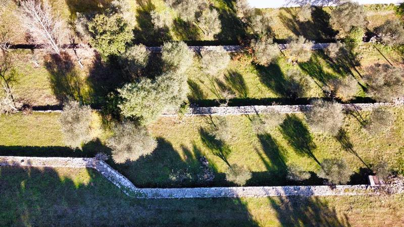 Terrain constructible - 1 412 m²