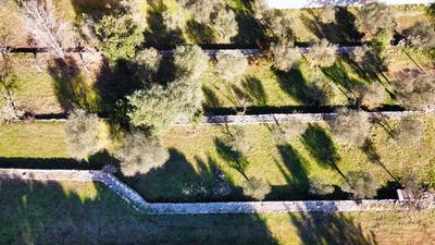 Terrain constructible - 1 412 m²