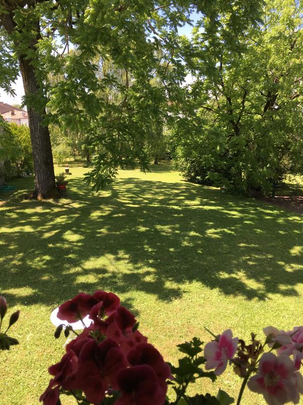 Viager - Maison ancienne - 550 m² - 12 pièces