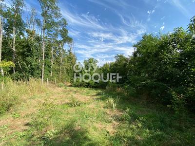 Terrain constructible - 1 289 m²