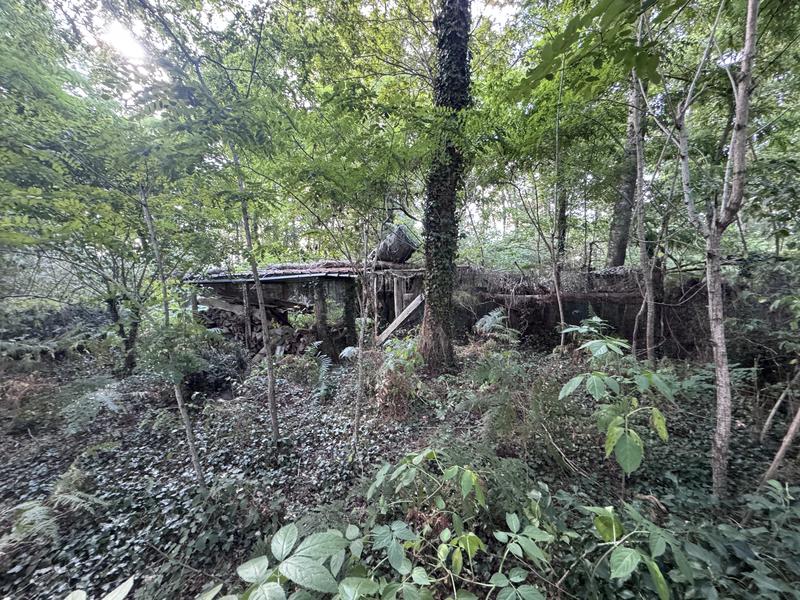 Terrain - 50 154 m²