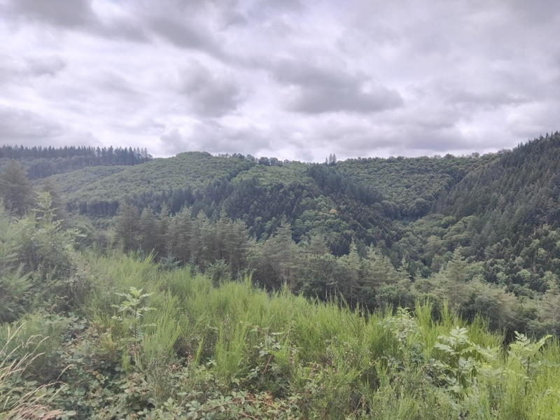 Terrain - 225 742 m²