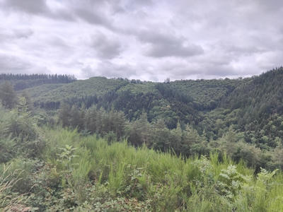 Terrain - 225 742 m²