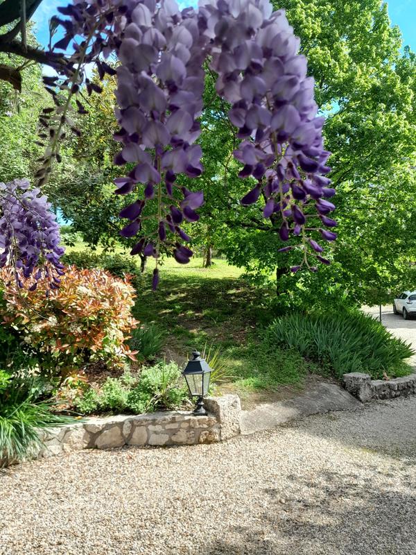 Maison traditionnelle - 170 m² - 7 pièces